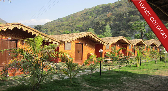 river side luxury cottages rishikesh